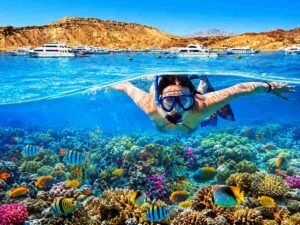 wycieczki sharm el sheikh